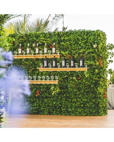 Plant wall for tastings